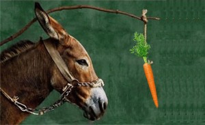 ane-et-carotte