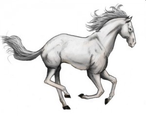 cheval-blanc