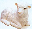 mouton blanc